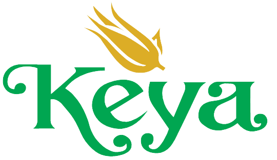 Keya Group announces lay off