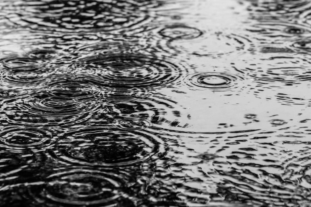 Met office predicts rain