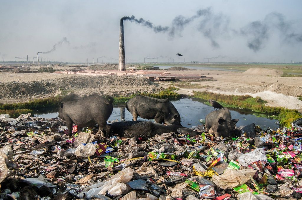 Air pollution wipes out 5% of Bangladesh GDP pollution