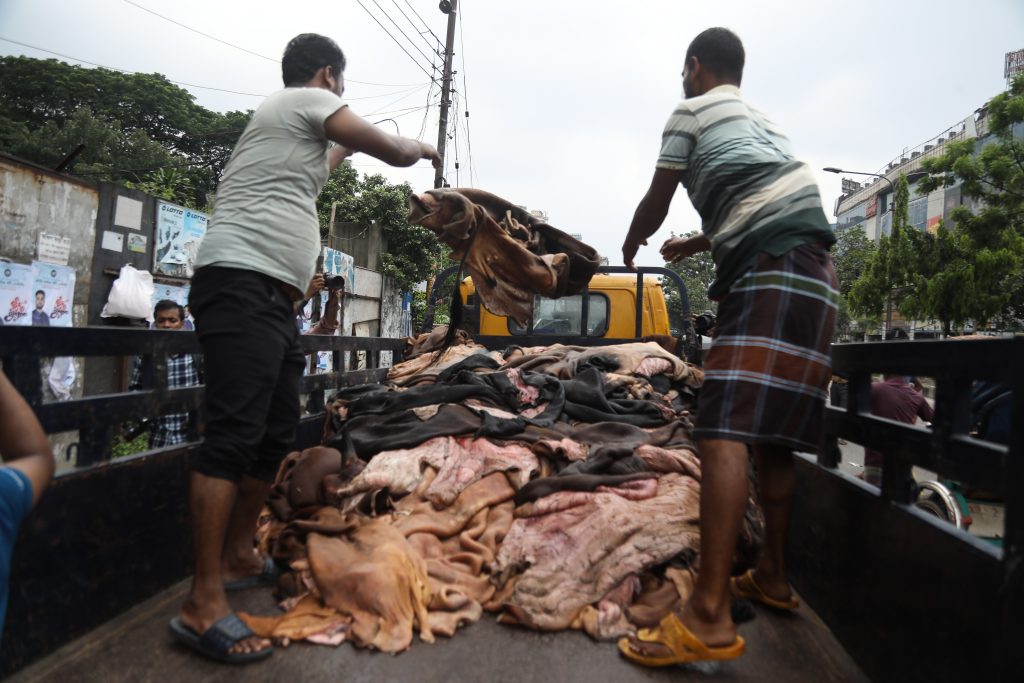 Savar tanneries abuzz with rawhide arrival