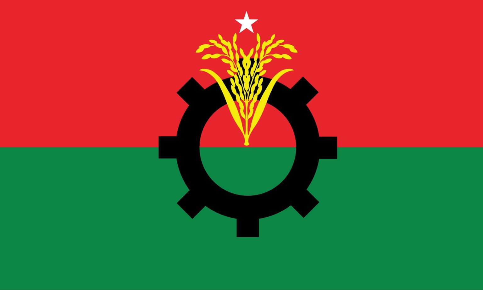 bnp