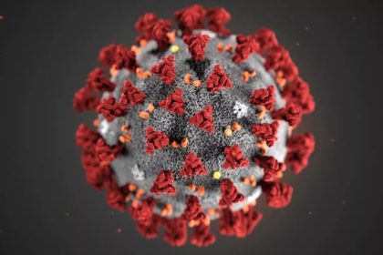 new Covid cases reported