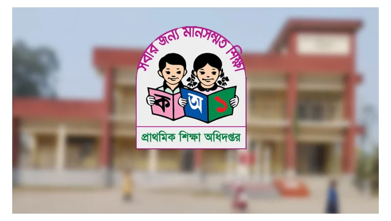 assessment program