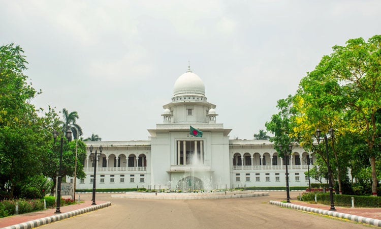 Appellate Division