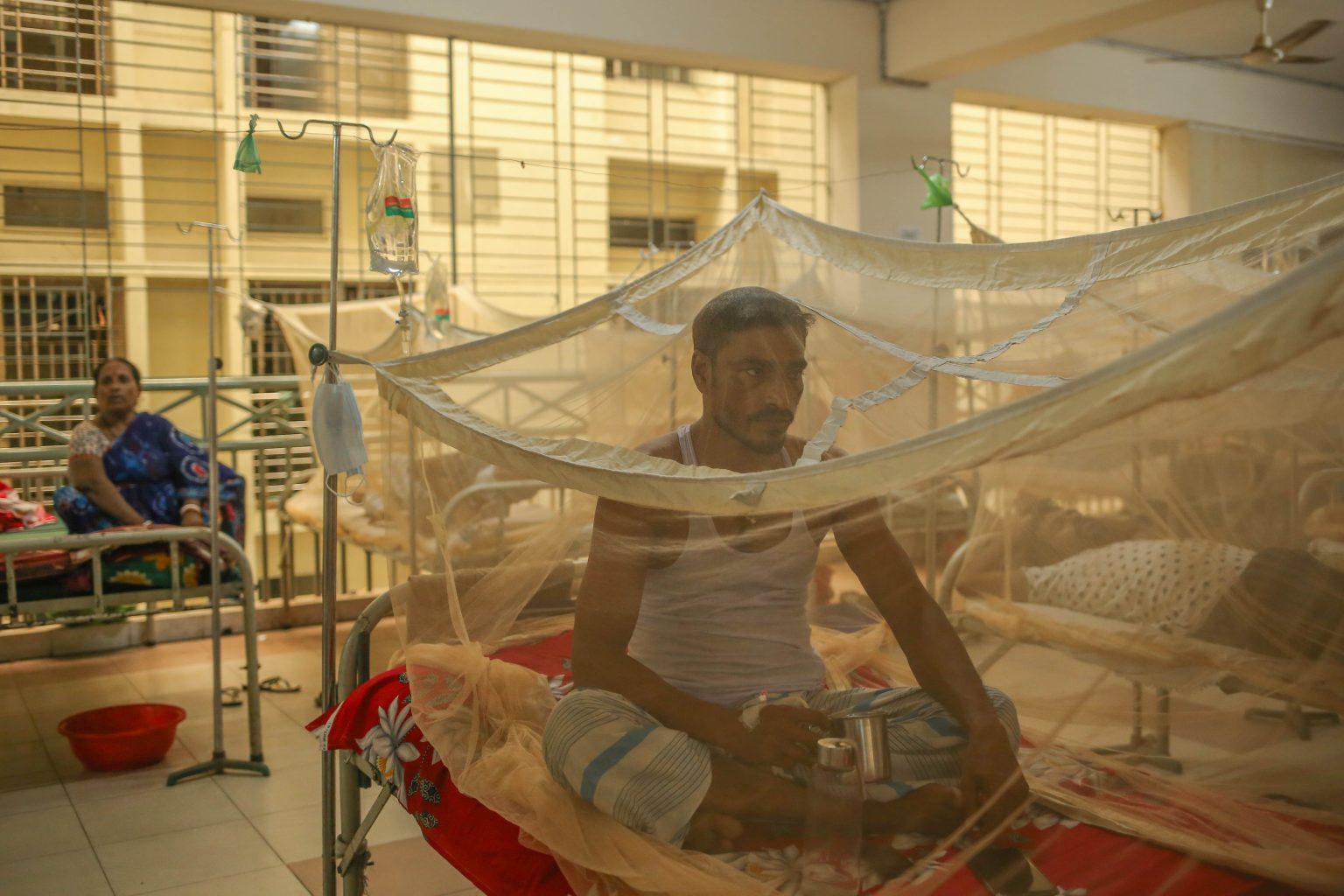 Dengue