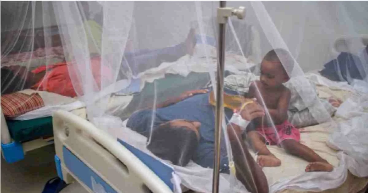 Dengue claims more life