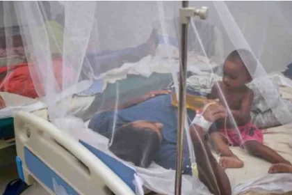 Dengue claims two