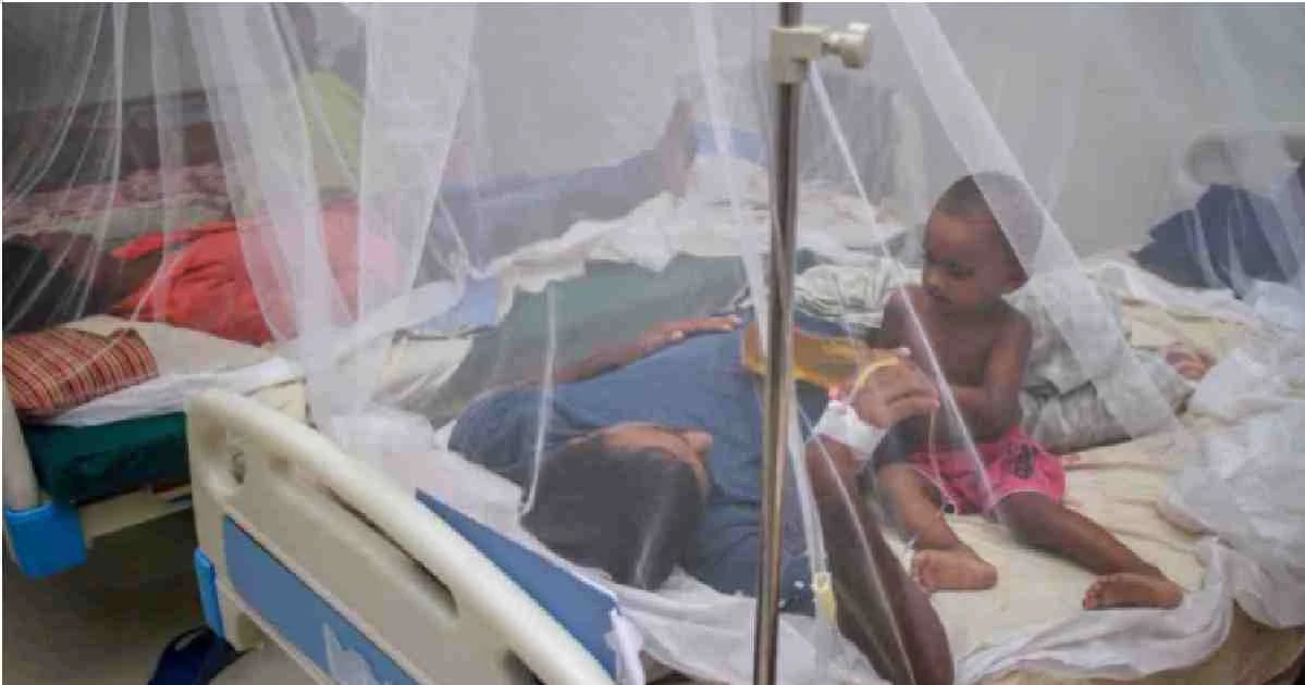 Dengue claims two