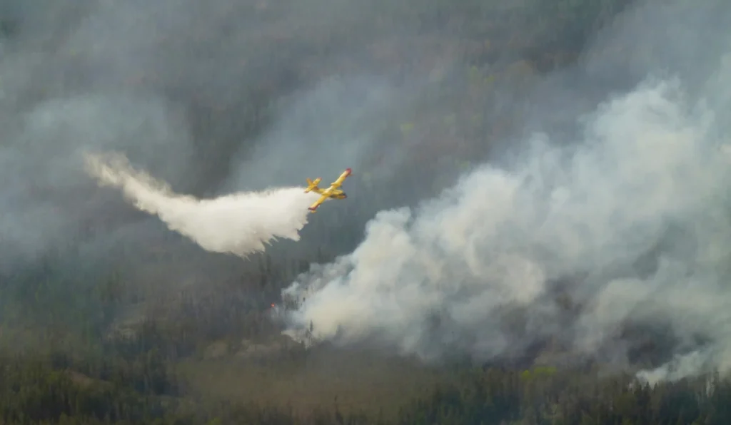Thousands evacuated as wildfire rages in Canada