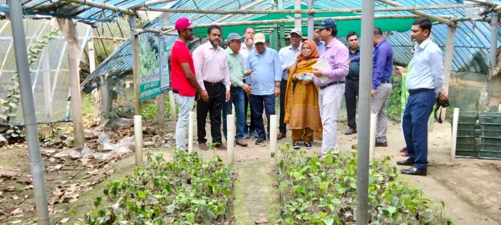 Khulna farmers find fortune in chui jhal farming