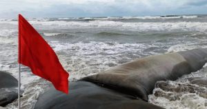 Cyclone Montha intensifies in Bay of Bengal, landfall expected Tuesday trawler capsized in Bay of Bengal