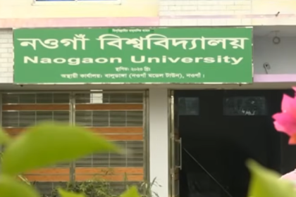Naogaon University
