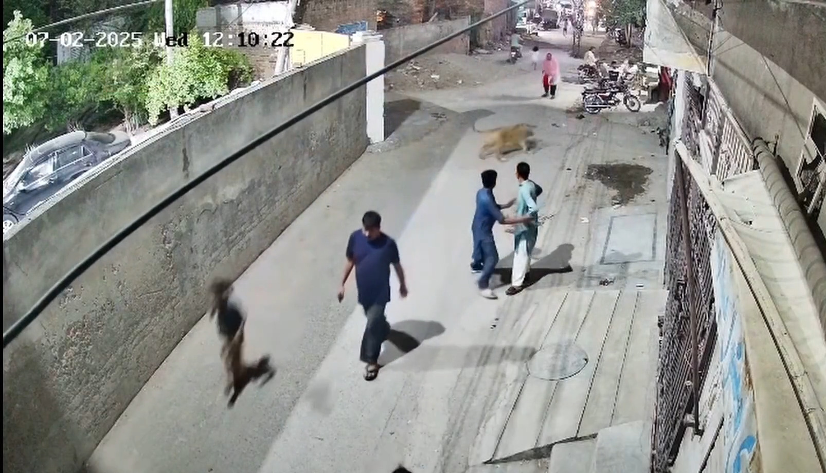 Owners arrested after pet lion attacks three people in Pakistan