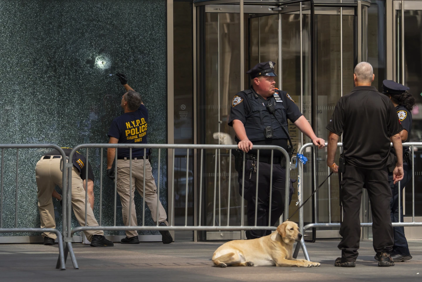 Gunman killed NYC