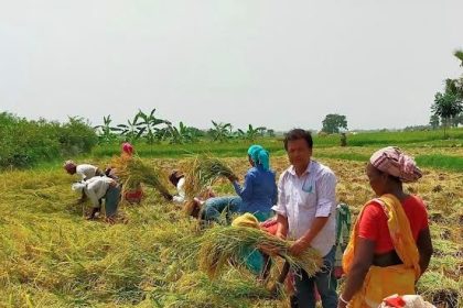 Farmer