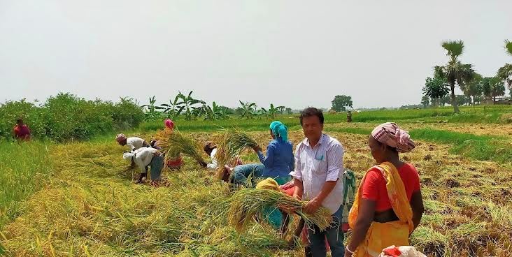 Farmer