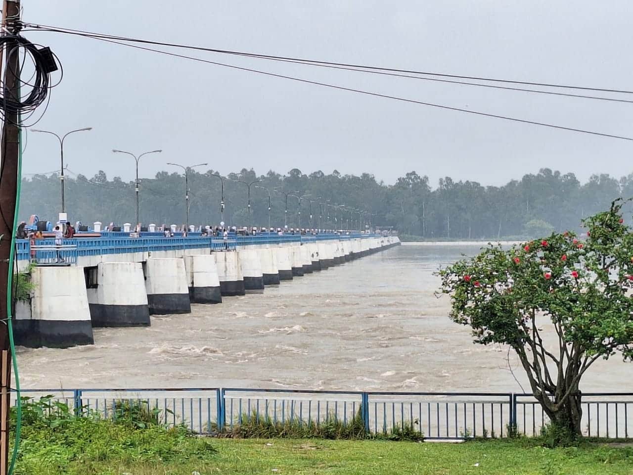 Teesta flows