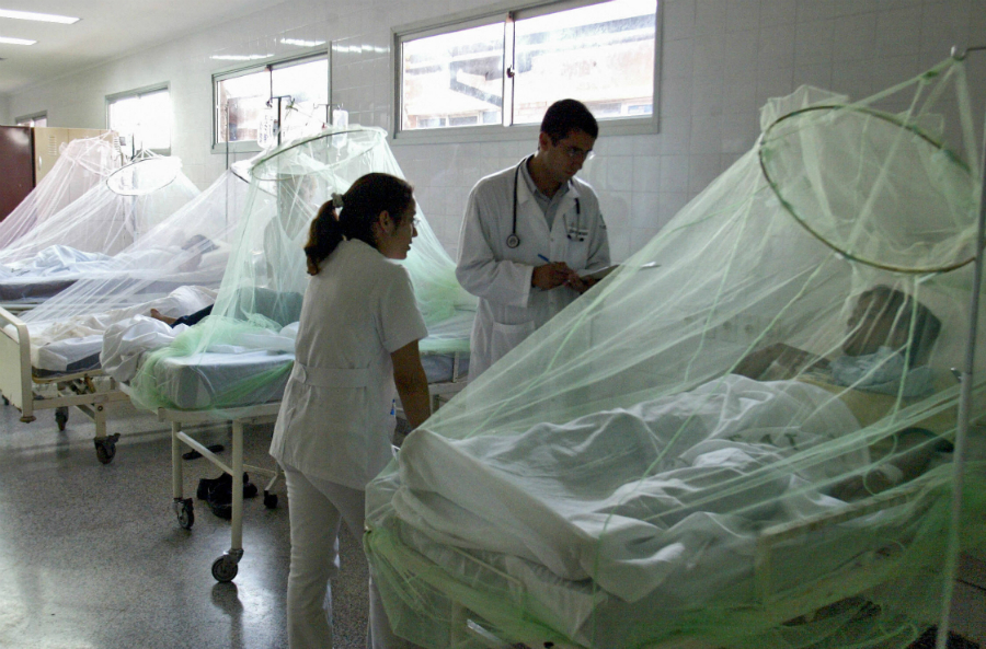 Dengue