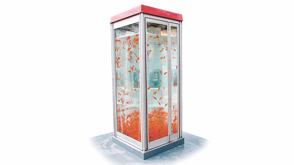 Japan’s phone booths turn into aquariums! Japan phone booth aquariums