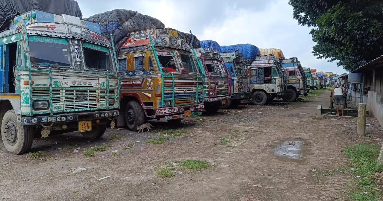 Rice imports India