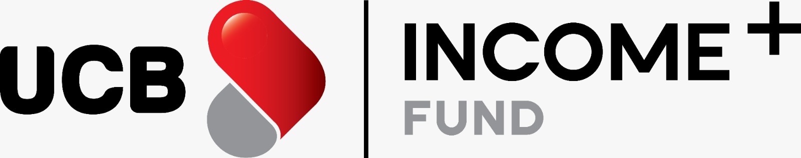 UCB Income Plus Fund delivers 19% return