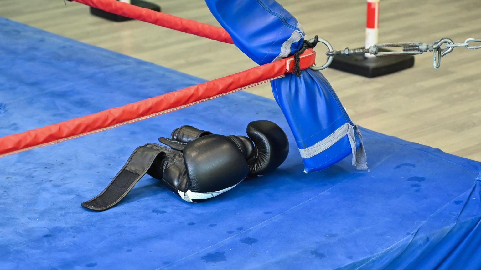 Japan Boxing