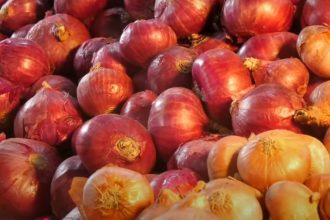 Prices of onion