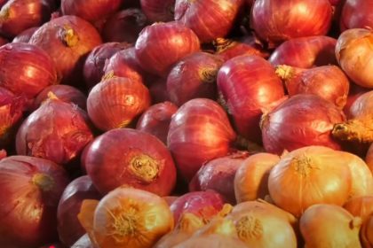 Prices of onion