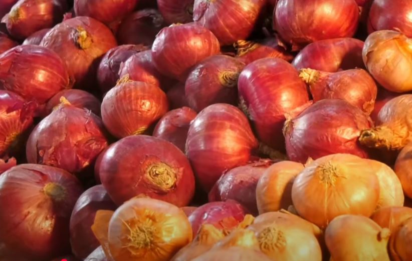 Prices of onion