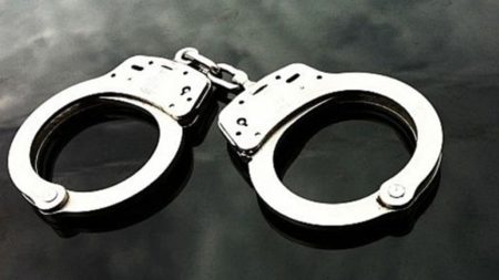 DMP arrests