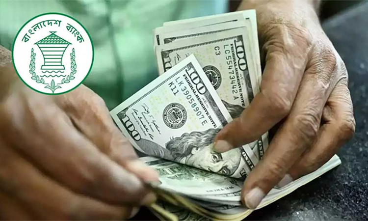 $40bn reserve ambition hinges on remittance, partner loans