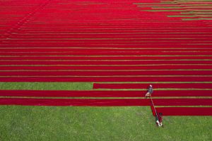 Mostafigur Rahman’s solo photography exhibition in New York