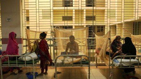Dengue outbreak continues with 633 new cases dengue new cases