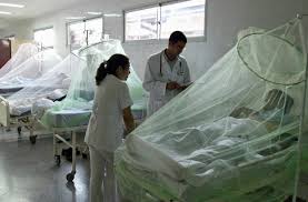 Dengue: 3 more die, 685 hospitalised in 24hrs