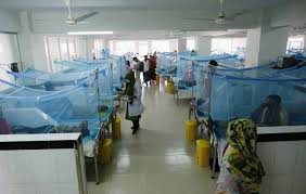Dengue: Two die, 573 hospitalised in 24hrs