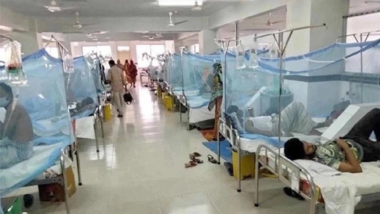 Dengue: One more death, 715 cases reported