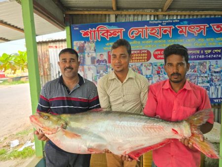 Rare 22.6 kg Dhai fish caught in Padma River sold for Tk 1,04,000