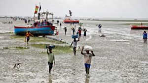 hilsa remains beyond reach