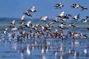Mostafigur Rahman’s solo photography exhibition in New York