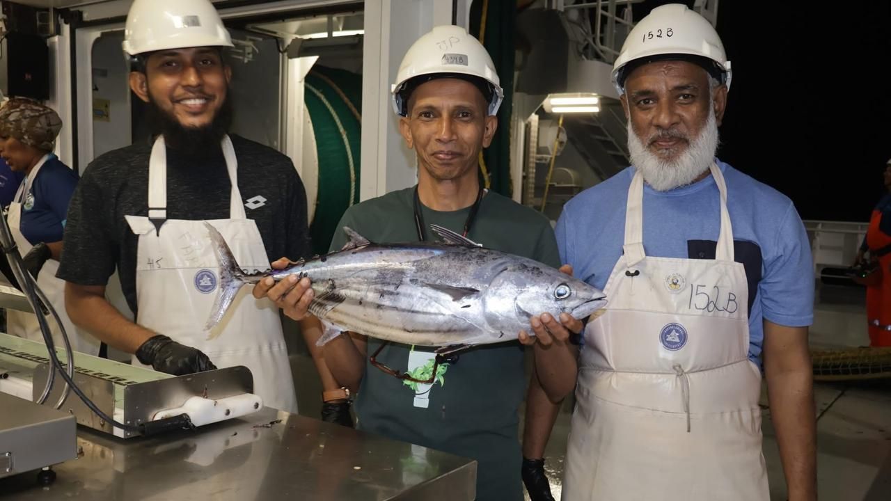 Stalled high-sea fishing pilot for two-year extension
