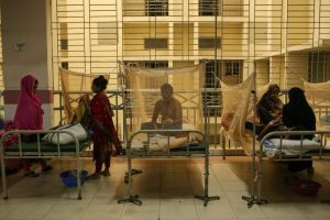 Dengue claims 3 more lives