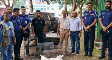 25 wild animals rescued from illegal zoo in Narail