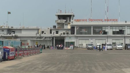 Fox on HSIA runway