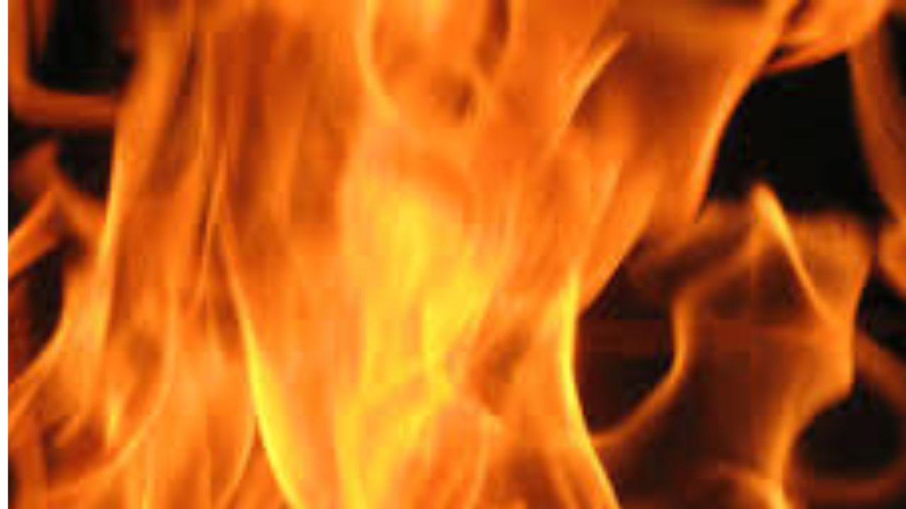 Fire breaks out at wholesale market in Sadarghat