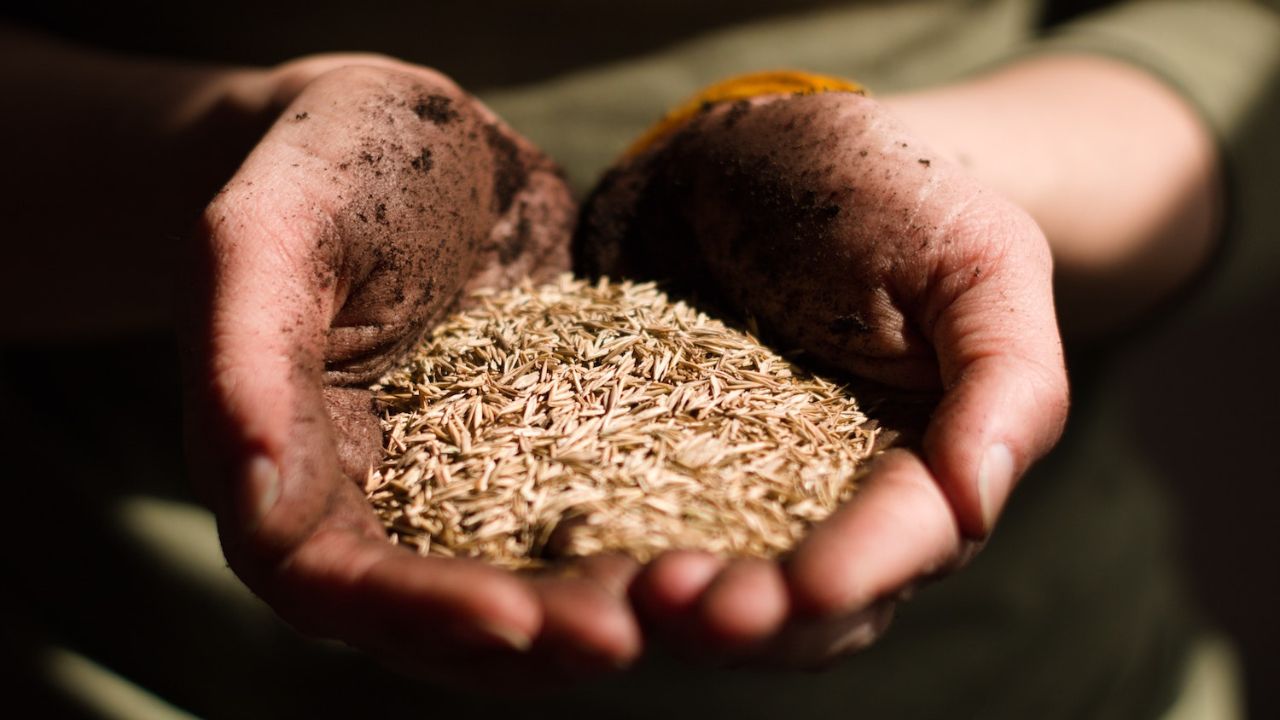 16m facing severe food insecurity in Bangladesh: Report