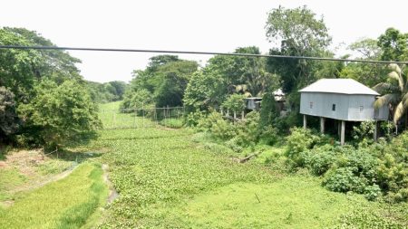Manikganj