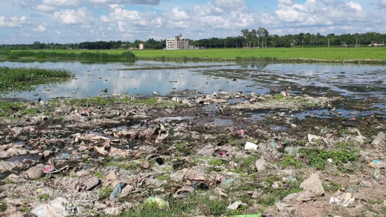 Industrial, municipal waste endanger haor biodiversity