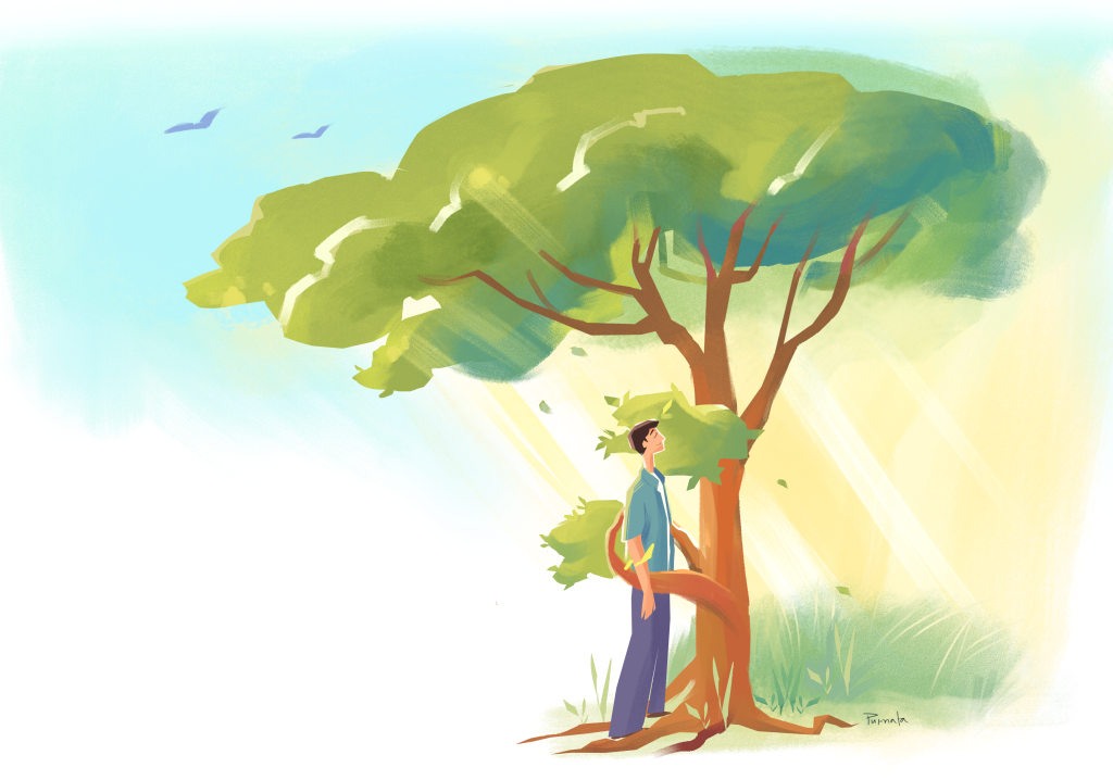 The healing benefits of being in nature Healing power of nature