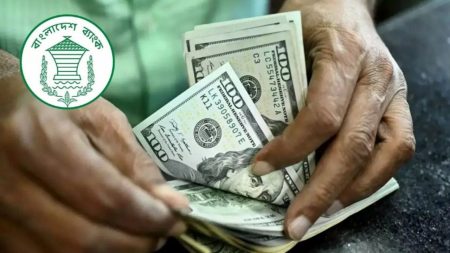 Remittance jumps 15.34% to $3.43b in May Remittance