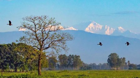 Tetulia admin launches online hotel booking site Tetulia’s Tamarind tree